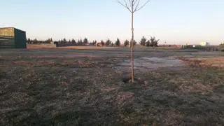 VaqueraPropiedades vende lote en barrio cerrado El Naudir de Escobar foto 3
