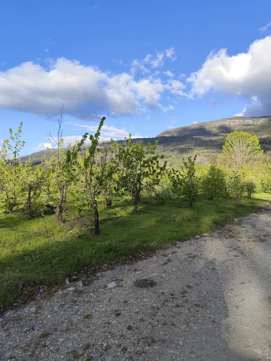 (RA004) Lotes en Preventa, 900 m2. Los Cerezos, El Bolsón foto 4