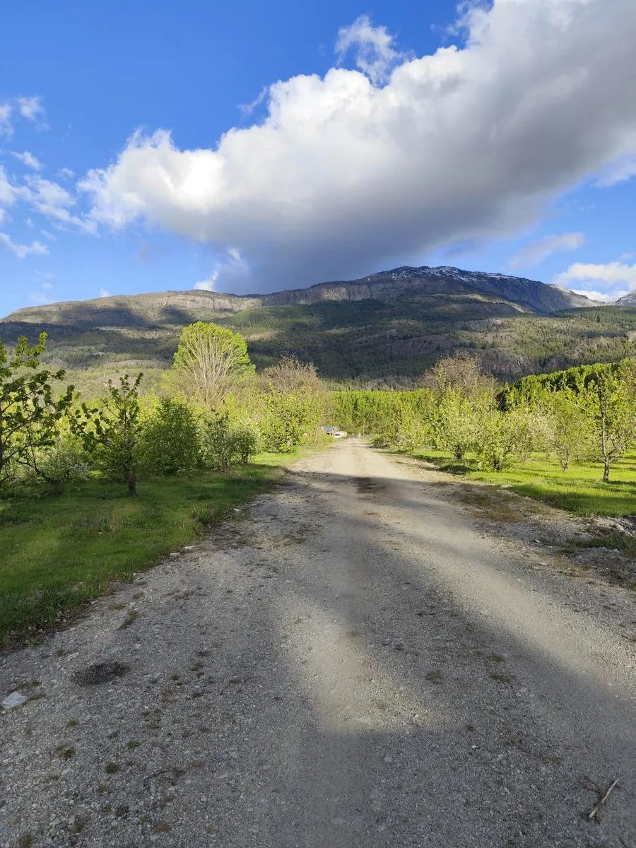 (RA004) Lotes en Preventa, 900 m2. Los Cerezos, El Bolsón foto 5