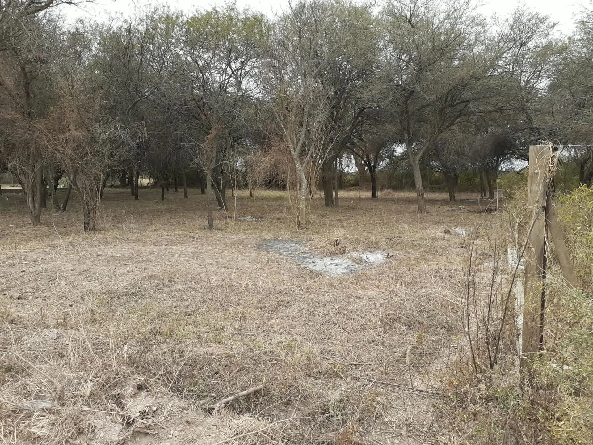 TERRENO EN EL ZANJON foto 2