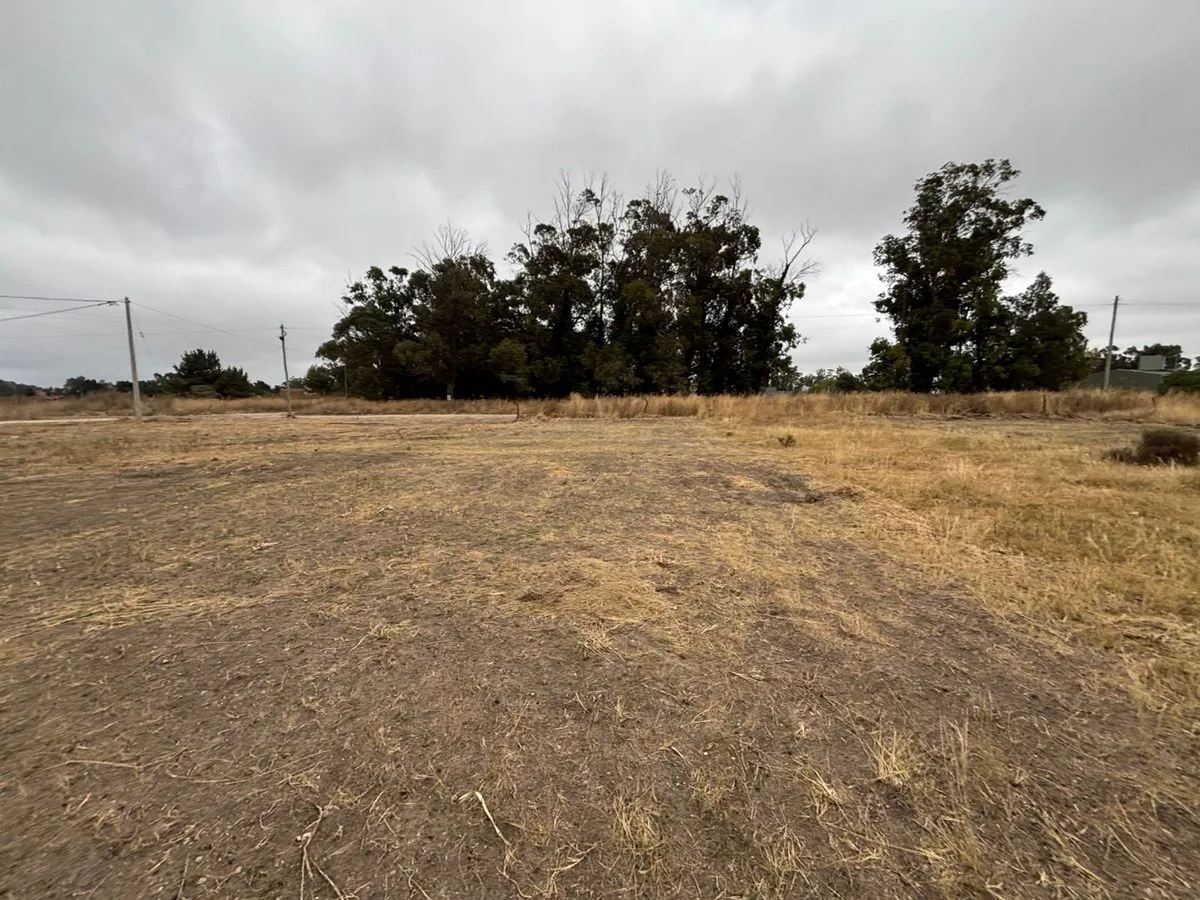 Venta terrenos block 700m² zona parque, Necochea foto 2