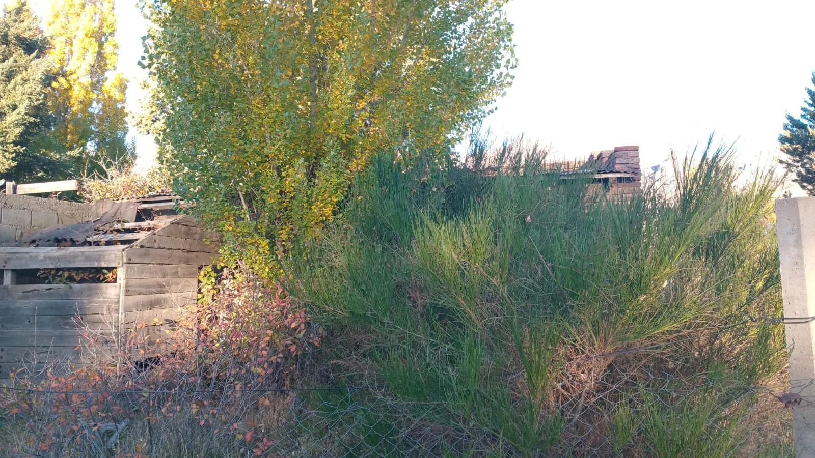 SE VENDE LOTE foto 3