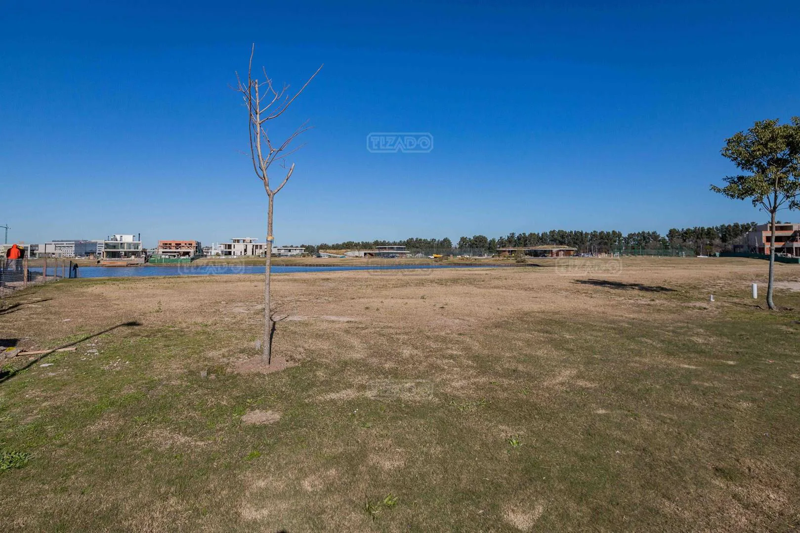 LOTE EN PUENTES 200 foto 5