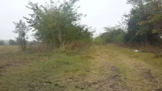 Chacra 6 Hs. en Mariano Acosta foto 5