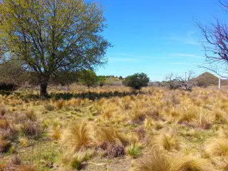 Venta Tierras en Estancia Grande San Luis foto 1