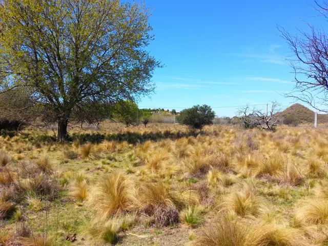 Venta Tierras en Estancia Grande San Luis