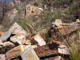 Venta Tierras en Estancia Grande San Luis foto 2