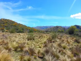 Venta Tierras en Estancia Grande San Luis foto 3