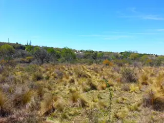 Venta Tierras en Estancia Grande San Luis foto 4