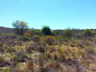Venta Tierras en Estancia Grande San Luis foto 5