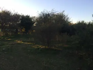 Lotes de terreno / dos unidades foto 2