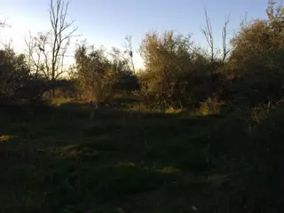 Lotes de terreno / dos unidades foto 3