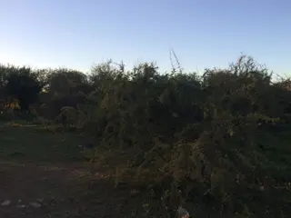 Lotes de terreno / dos unidades foto 5