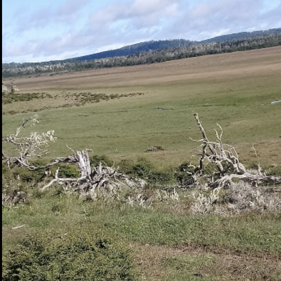 VENTA – TERRENO – COUNTRY CLUB SAN JUSTO foto 3