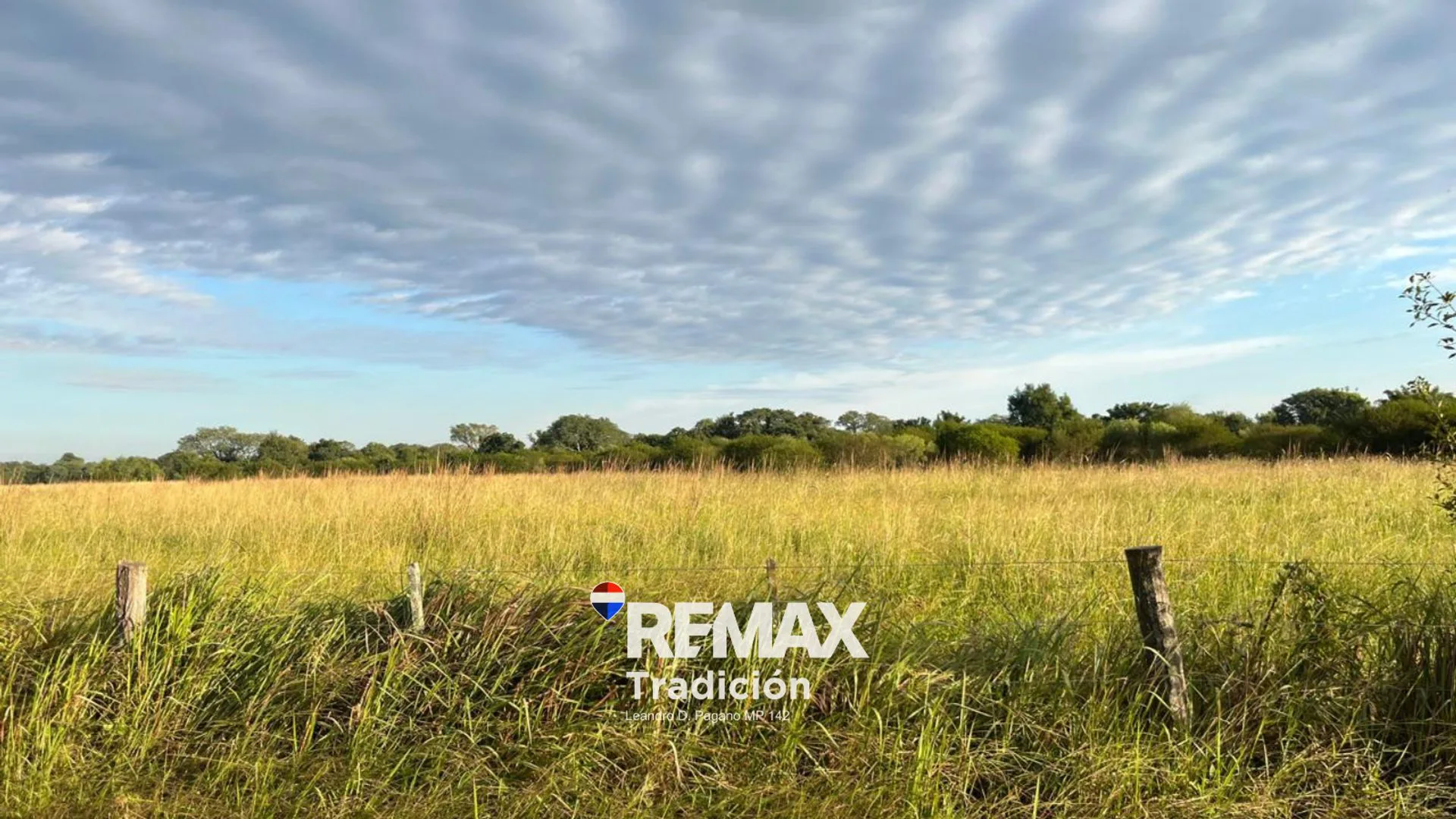 CAMPO EN VENTA DE 8,6 HECTÁREAS EN MAKALLE, CHACO foto 3