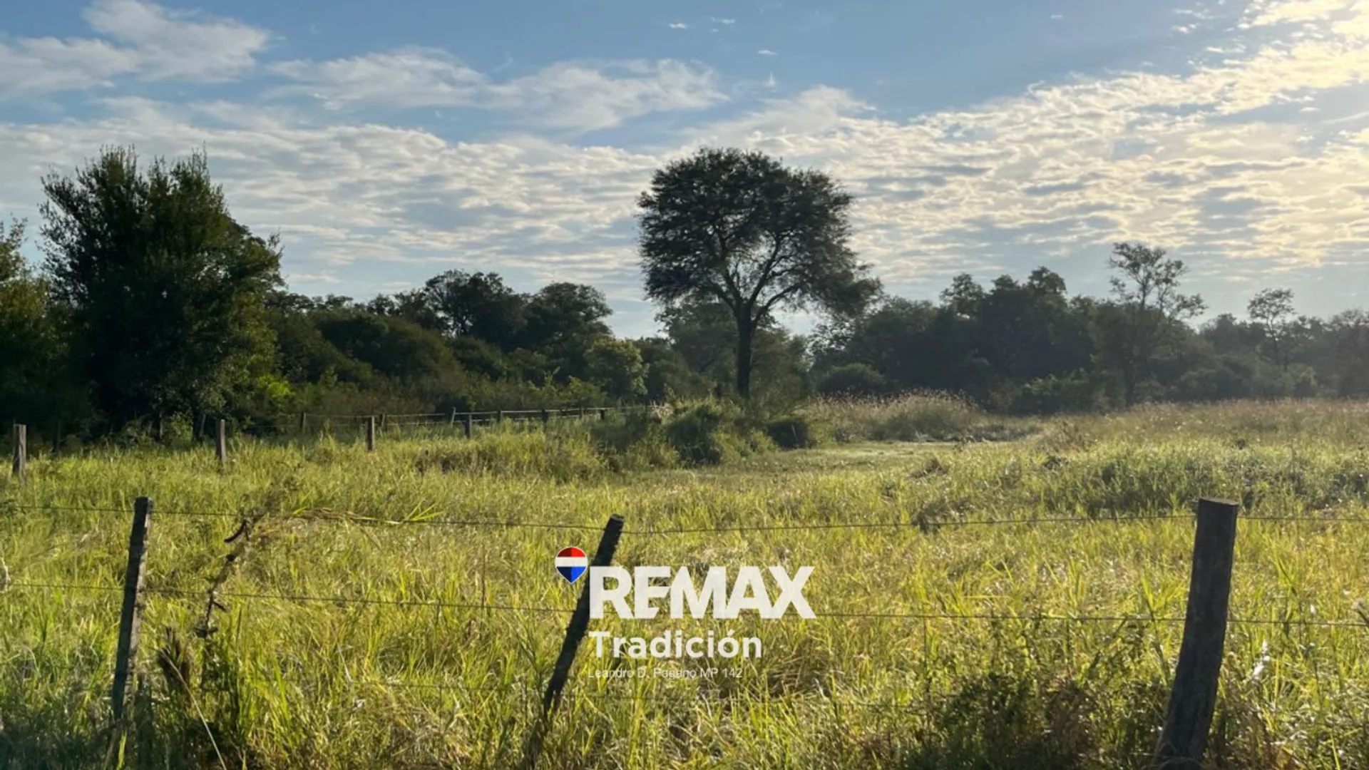 CAMPO EN VENTA DE 8,6 HECTÁREAS EN MAKALLE, CHACO foto 4