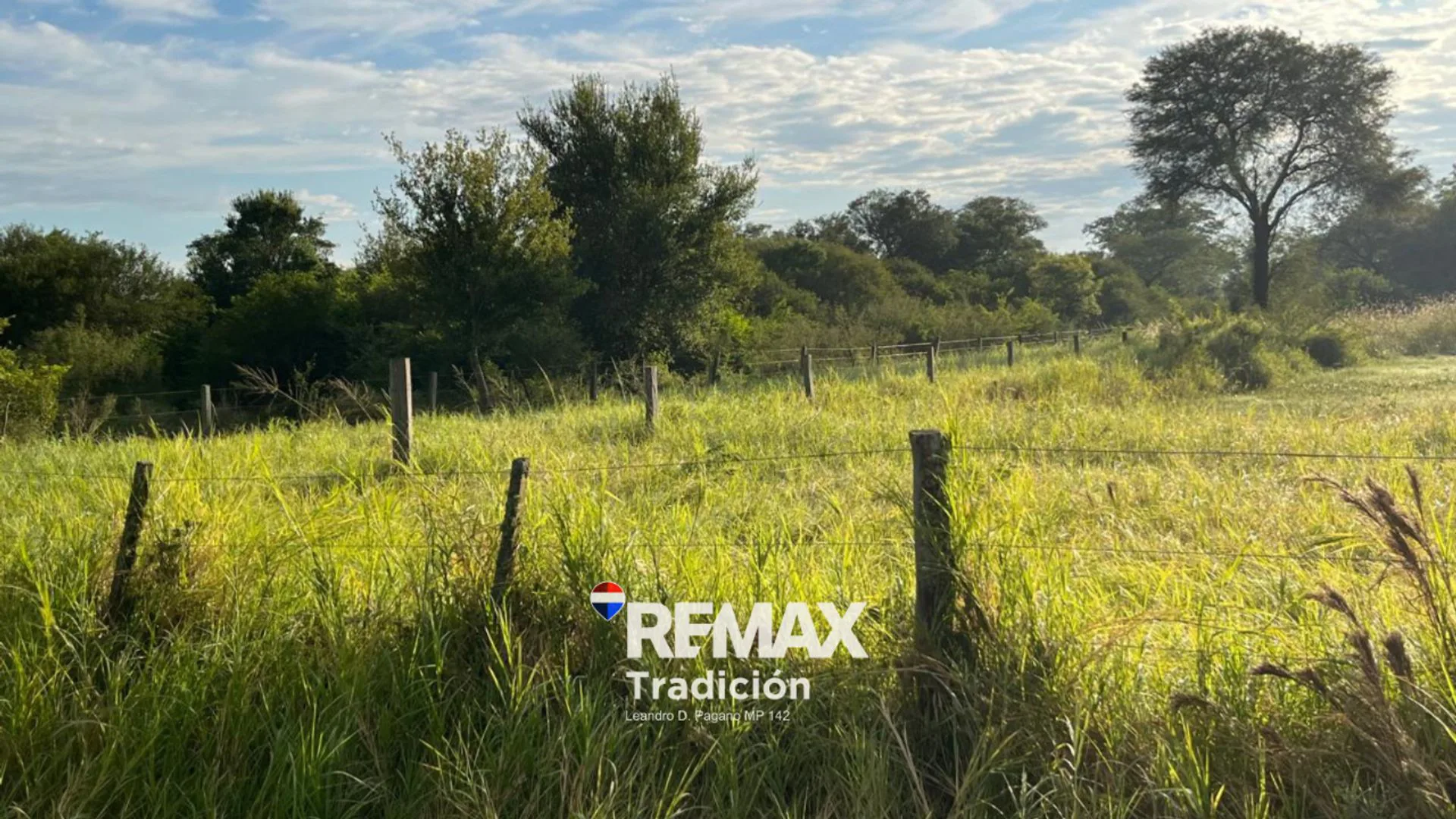 CAMPO EN VENTA DE 8,6 HECTÁREAS EN MAKALLE, CHACO foto 5