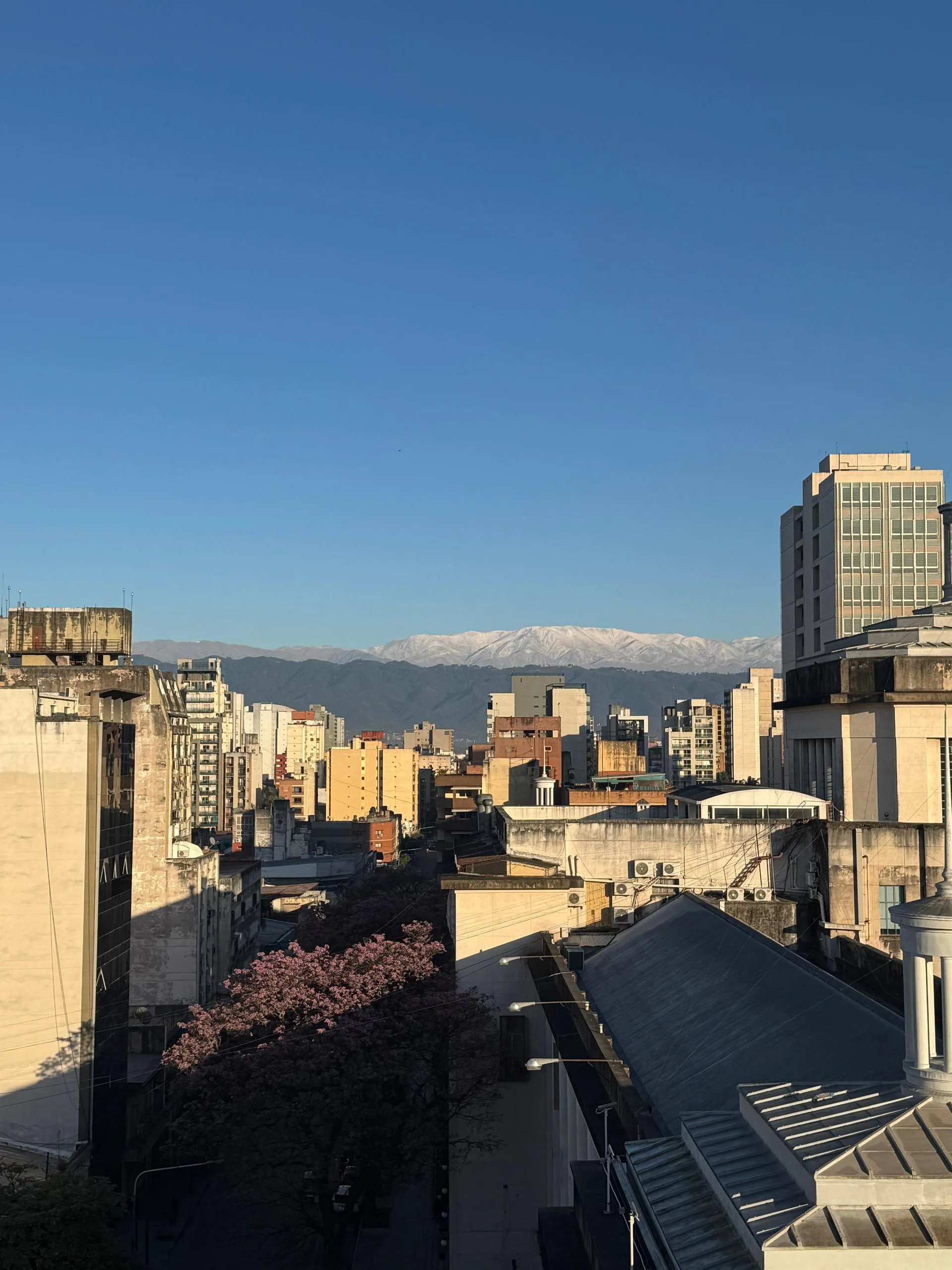 VENTA DEPARTAMENTO 1 DORMITORIO BARRIO SUR