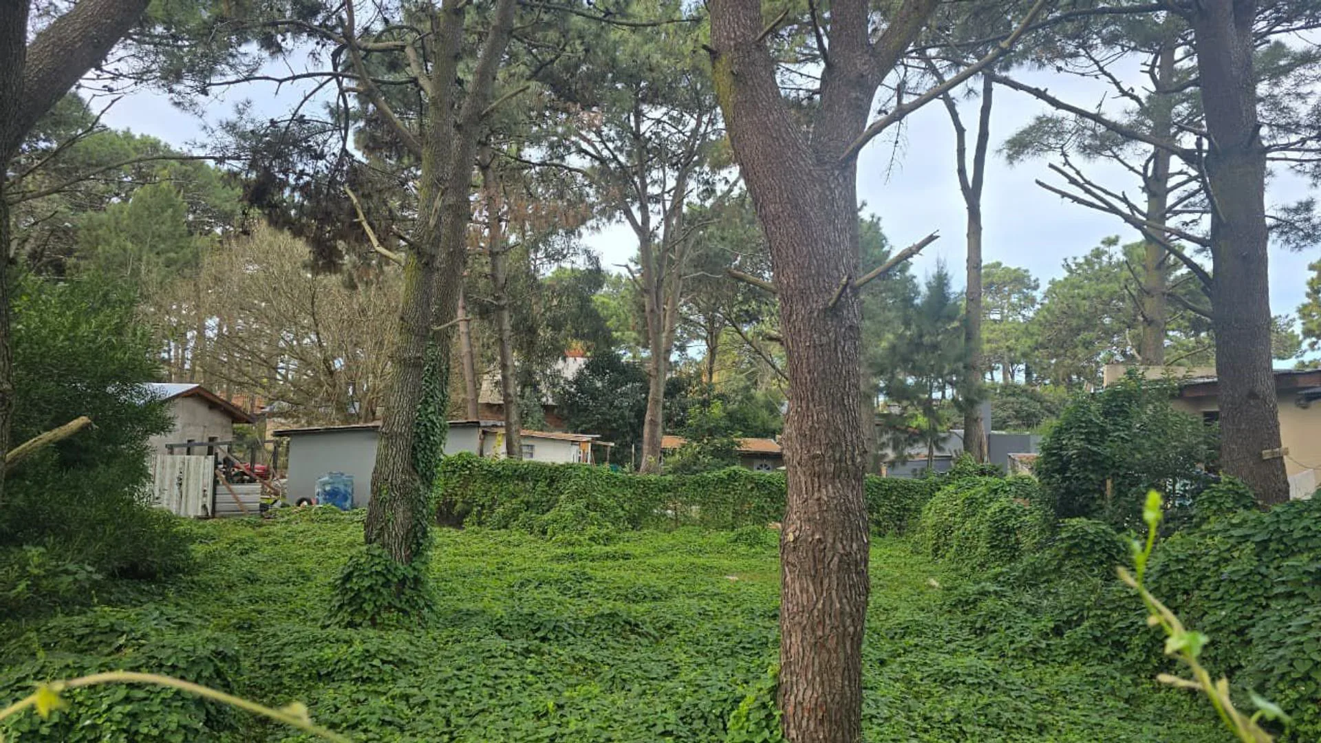 VENTA LOTE RESIDENCIAL UNIFAMILIAR OSTENDE foto 2