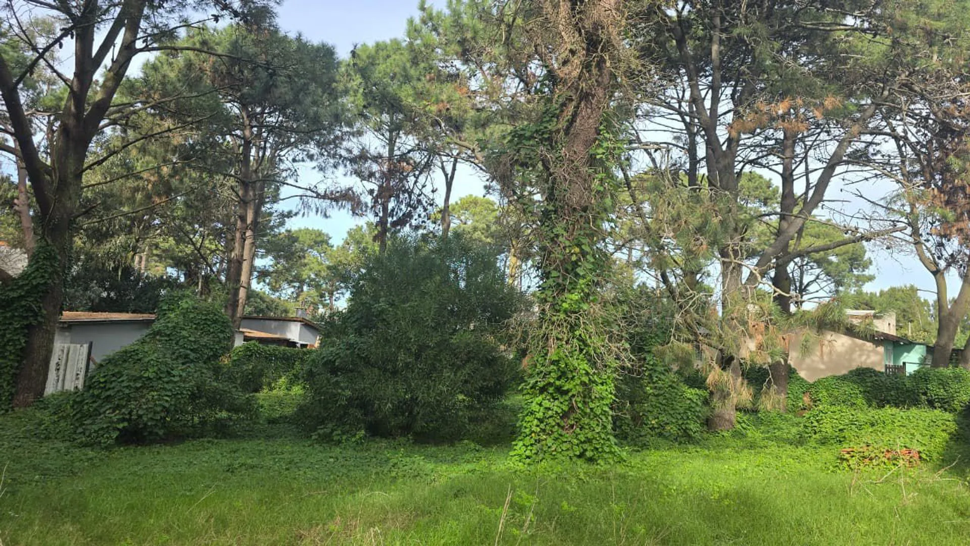 VENTA LOTE RESIDENCIAL UNIFAMILIAR OSTENDE foto 3