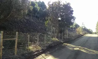 Se Vende Terreno de 3465m2 en Ruca Hue foto 2