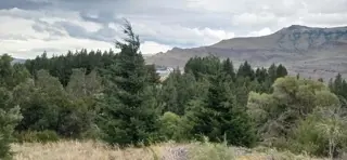 Se Vende Terreno de 3465m2 en Ruca Hue foto 5