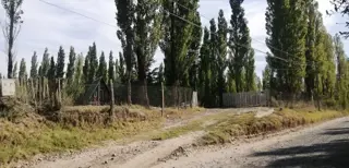 Venta de 1/2 hectarea a 100 metros de la ruta 22 foto 2