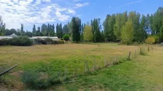 Venta de 1/2 hectarea a 100 metros de la ruta 22 foto 4