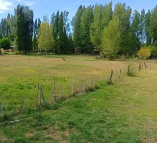Venta de 1/2 hectarea a 100 metros de la ruta 22 foto 5