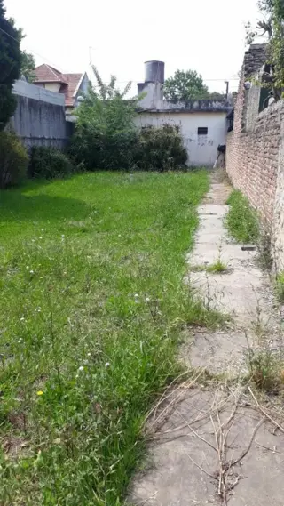 Lote 8,66 X 43 con 2 Locales y Vivienda foto 5