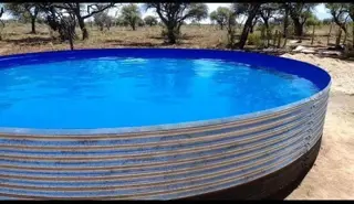 VENTA CAMPO EN PARAJE LOS LOBOS foto 3
