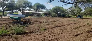 VENTA CAMPO EN PARAJE LOS LOBOS foto 4