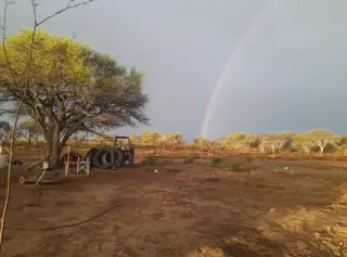 VENTA CAMPO EN PARAJE LOS LOBOS foto 5