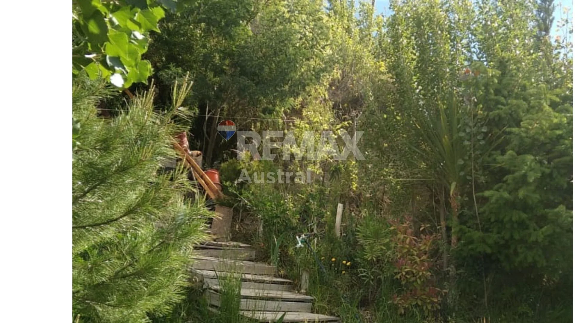 VENTA 2 casas en terreno aterrazado BellaVista Sur foto 2