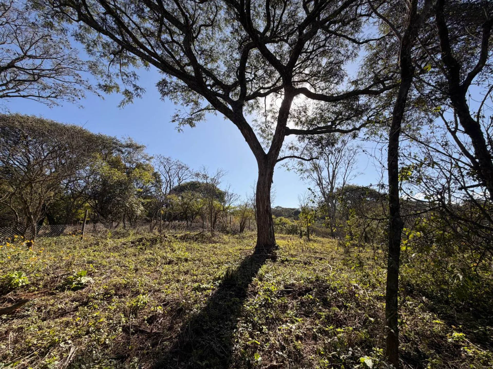 VENTA LOTE CON VISTA A SALTA, QUEBRADA LOS NOGALES foto 2
