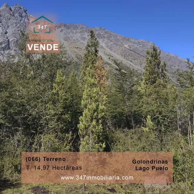 (066)LAGO PUELO, Bo. Las Golondinas, CAMPO de 14,97 has.