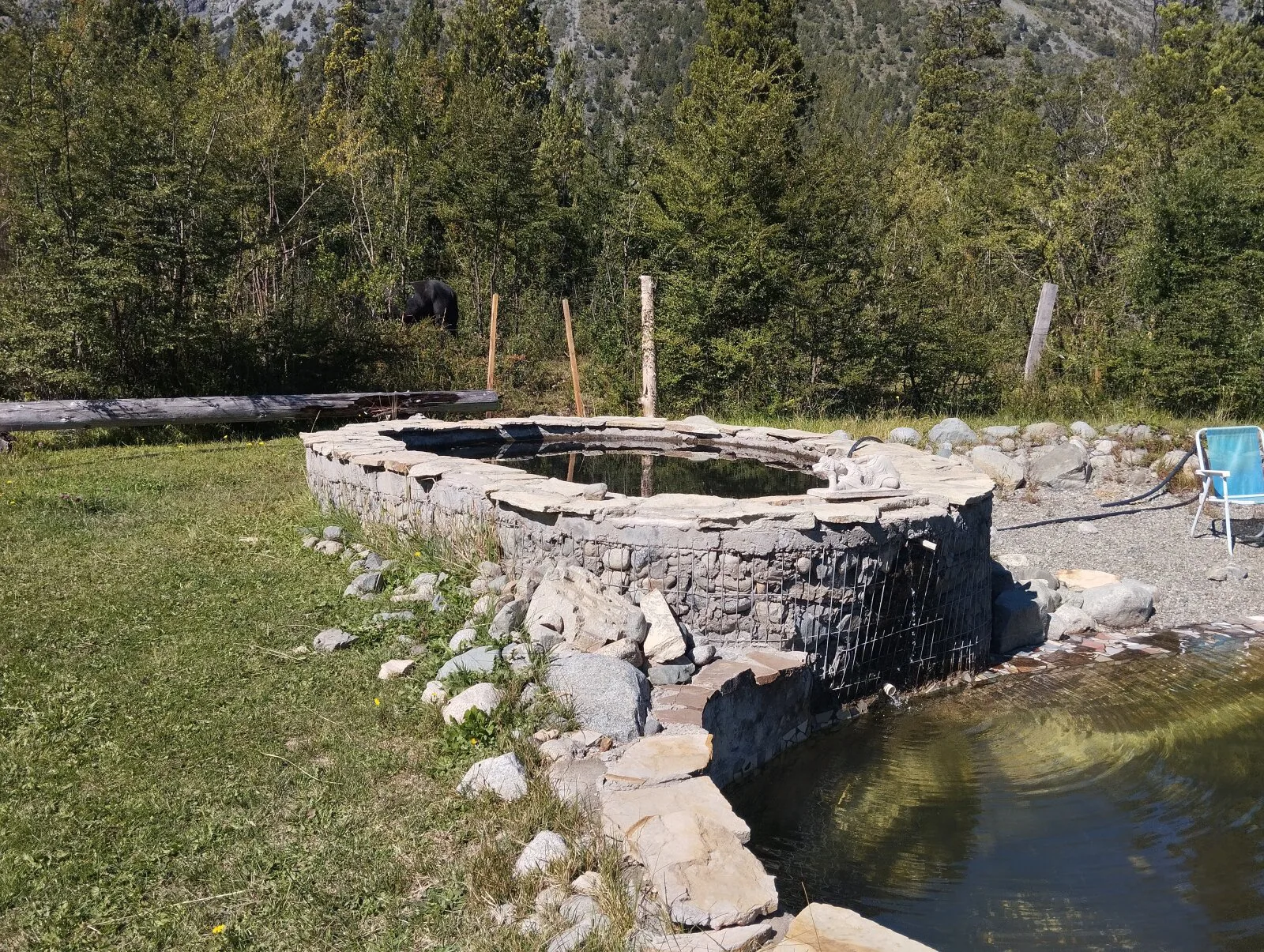 (066)LAGO PUELO, Bo. Las Golondinas, CAMPO de 14,97 has. foto 4