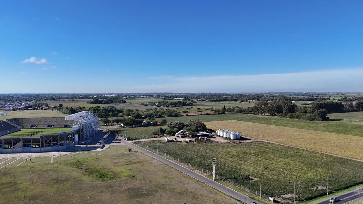 VENTA CAMPO DE 14,57 Ha EN SAN NICOLÁS foto 2