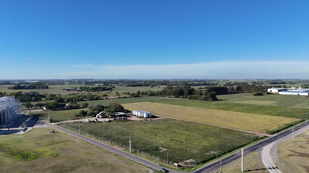 VENTA CAMPO DE 14,57 Ha EN SAN NICOLÁS foto 3
