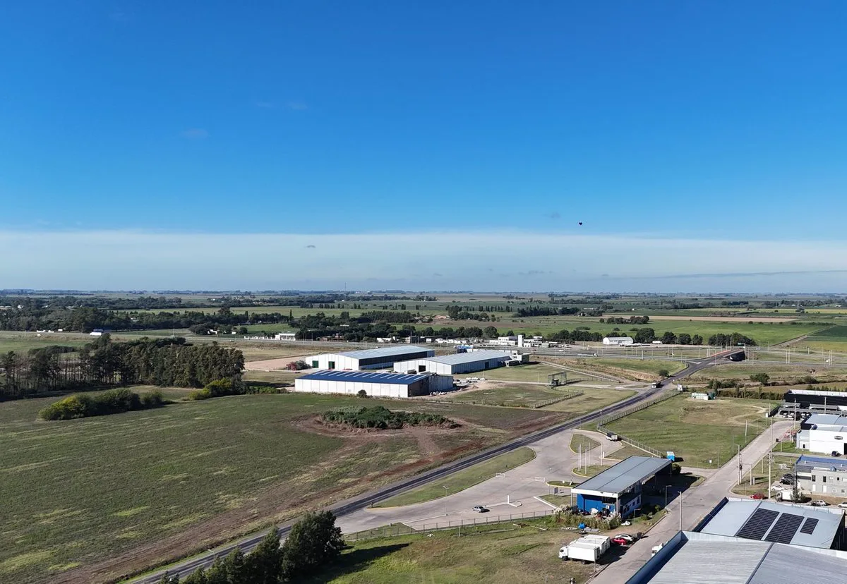 VENTA CAMPO DE 14,57 Ha EN SAN NICOLÁS foto 4