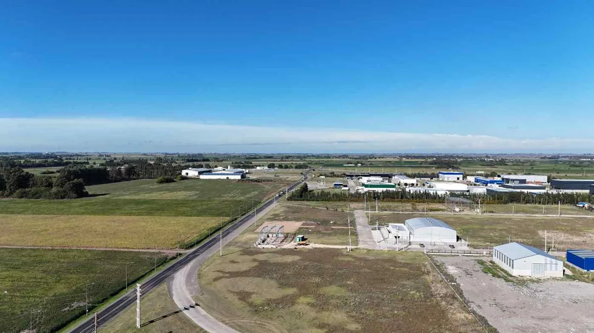 VENTA CAMPO DE 14,57 Ha EN SAN NICOLÁS foto 5