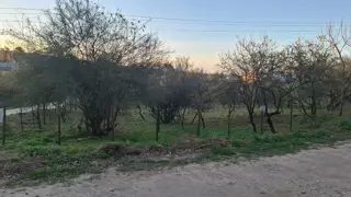 HERMOSO TERRENO LA BOLSA foto 1