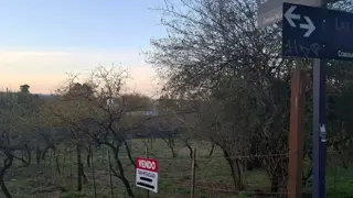 HERMOSO TERRENO LA BOLSA foto 5