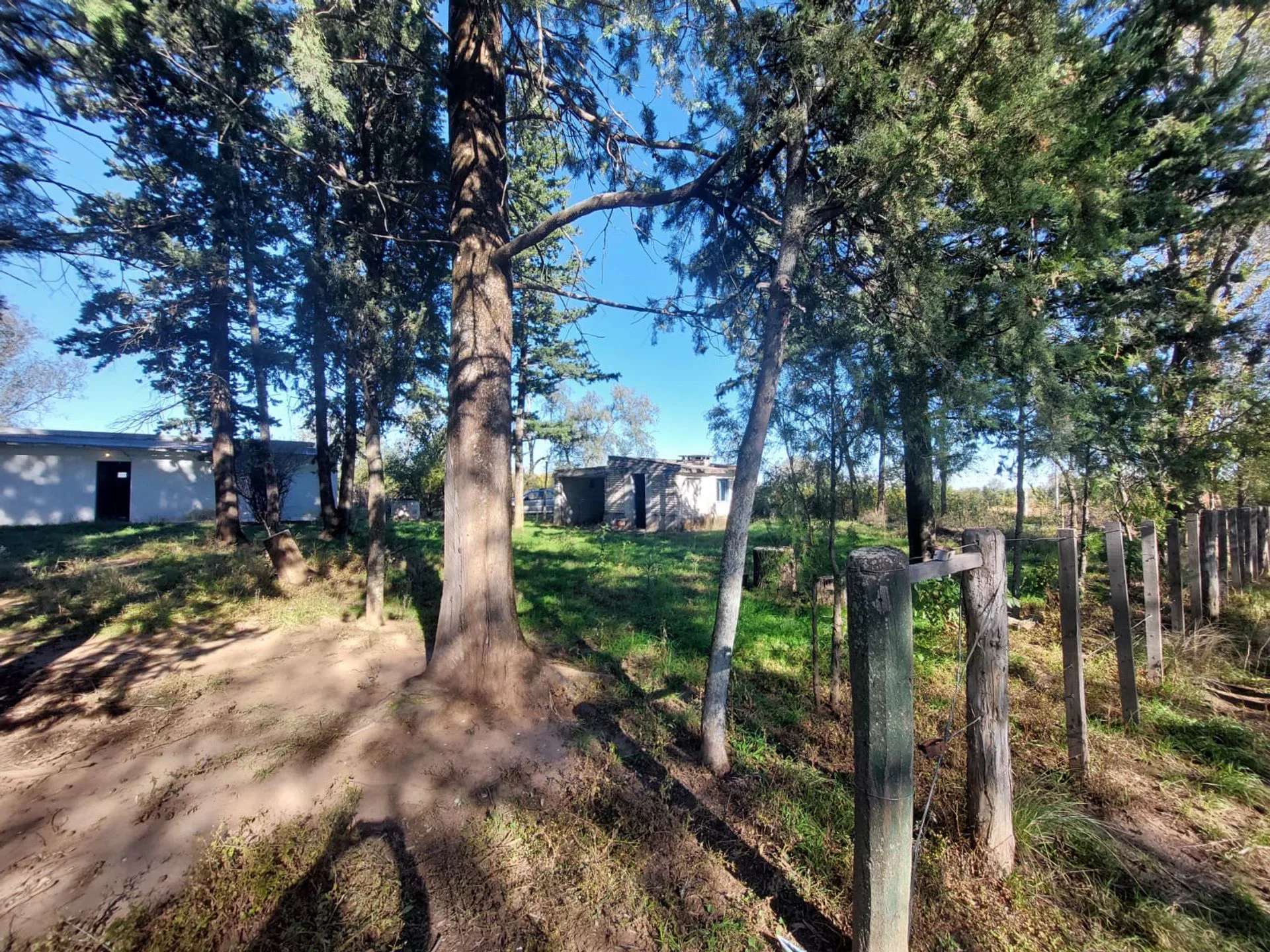 VENTA CHACRA 2,5 Ha SOBRE RUTA N°9 ESTANCIA GRANDE foto 3