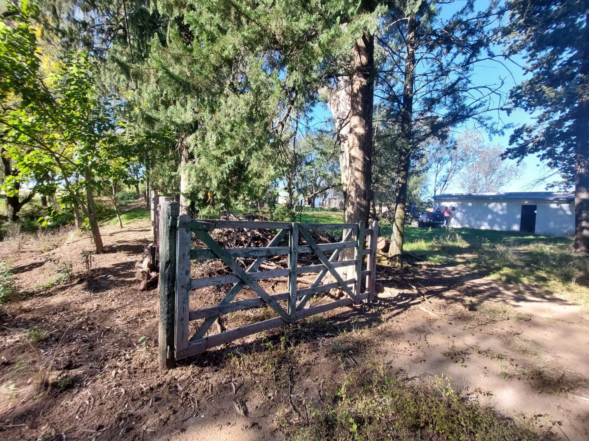 VENTA CHACRA 2,5 Ha SOBRE RUTA N°9 ESTANCIA GRANDE foto 4