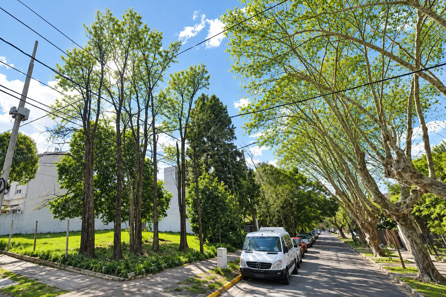 Terreno en esquina en Olivos 470 metros foto 3