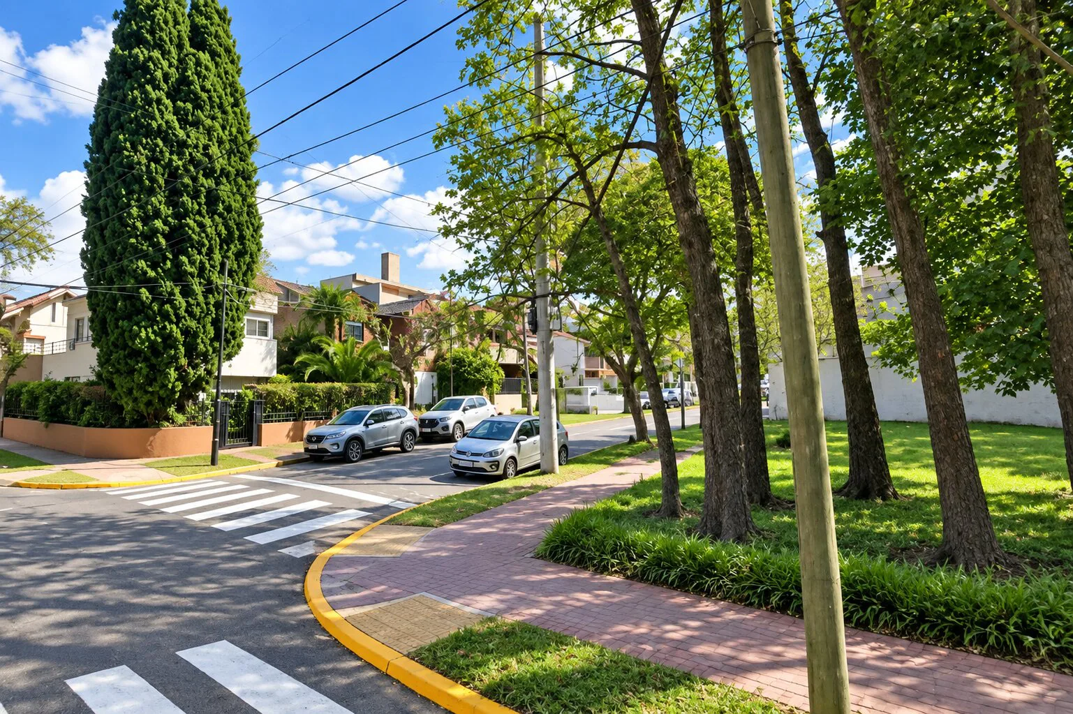 Terreno en esquina en Olivos 470 metros foto 5