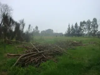 RANCHOS : Chacra Preciosa de 1,5 hra. con casa de 120 m2 reciclada. Vista Campestre.Añosa Arboleda c/Frutales.A 500 Mts RP Nr.20 y del ctro.IDEAL PROY foto 3
