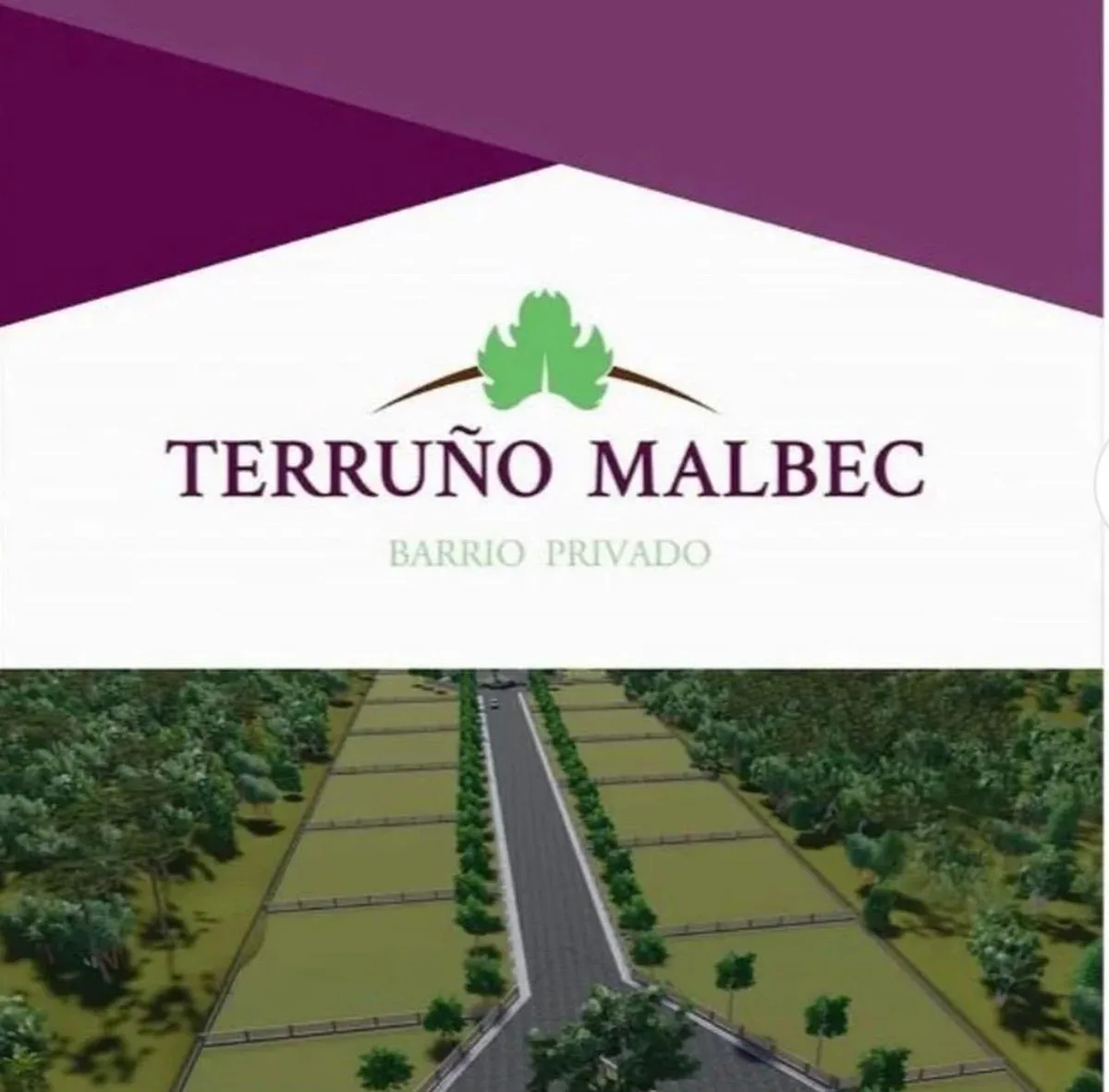 VENTA LOTE 300 M2 CRUZ DE PIEDRA MAIPU foto 5