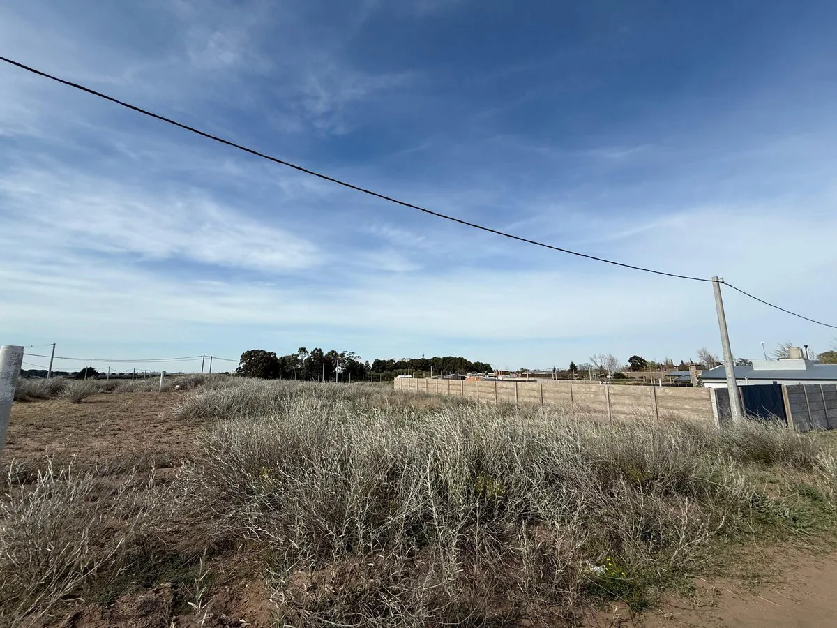 GRAN LOTE EN VENTA EN PUNTA ALTA foto 2